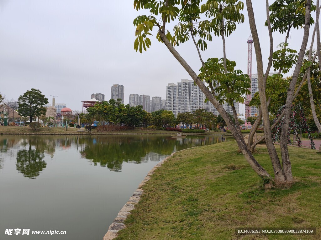 湖畔绿树环绕的城市风景