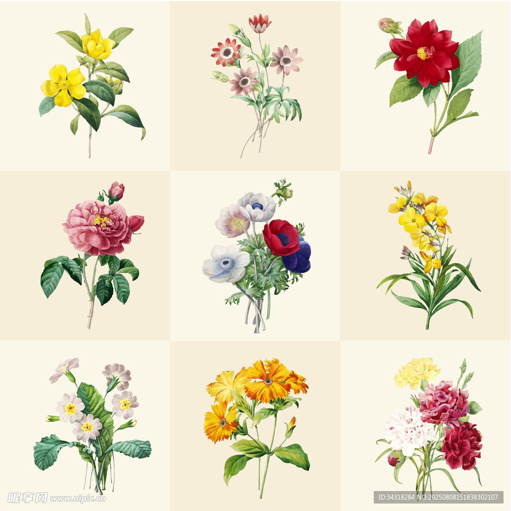 复古手绘花卉插画集合