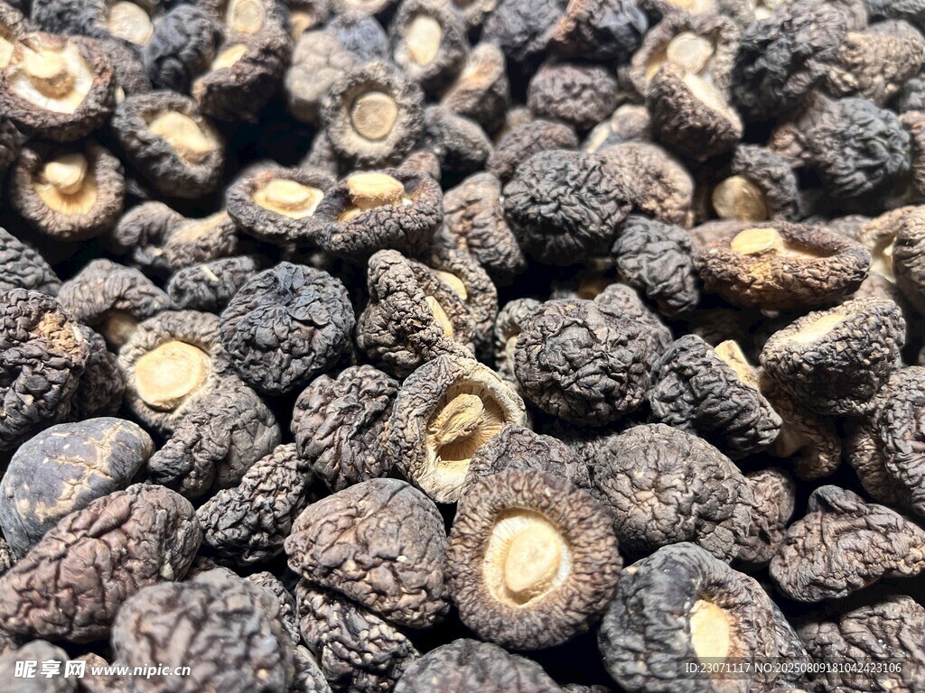 干香菇