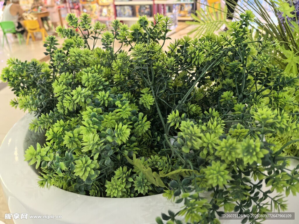 仿真盆栽绿植清新绿意满满