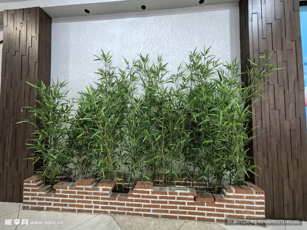 墙边仿真竹子绿植装点古朴景致