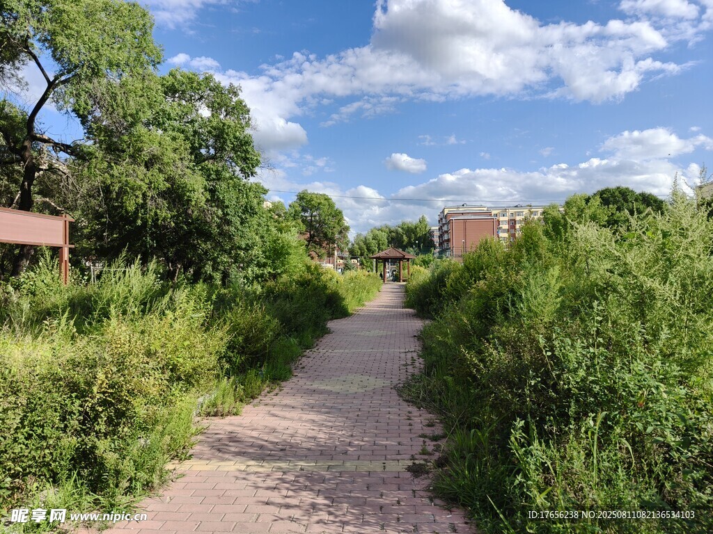 绿意盎然的风景