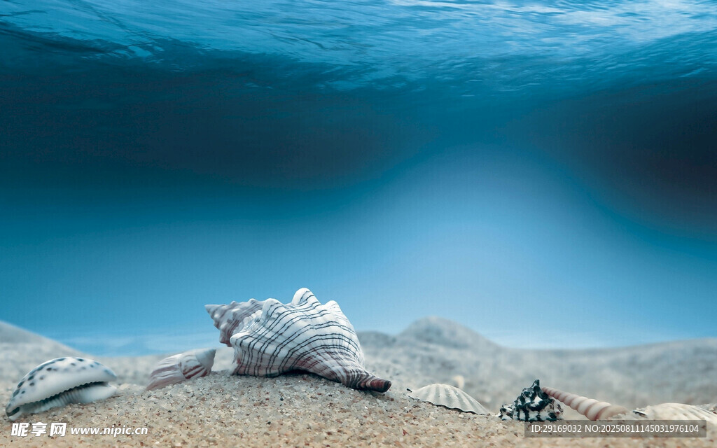 海底景象中的神秘物体