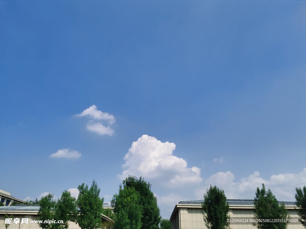 蓝天白云下的绿树与建筑