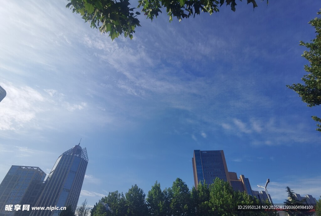 城市蓝天绿树高楼景致