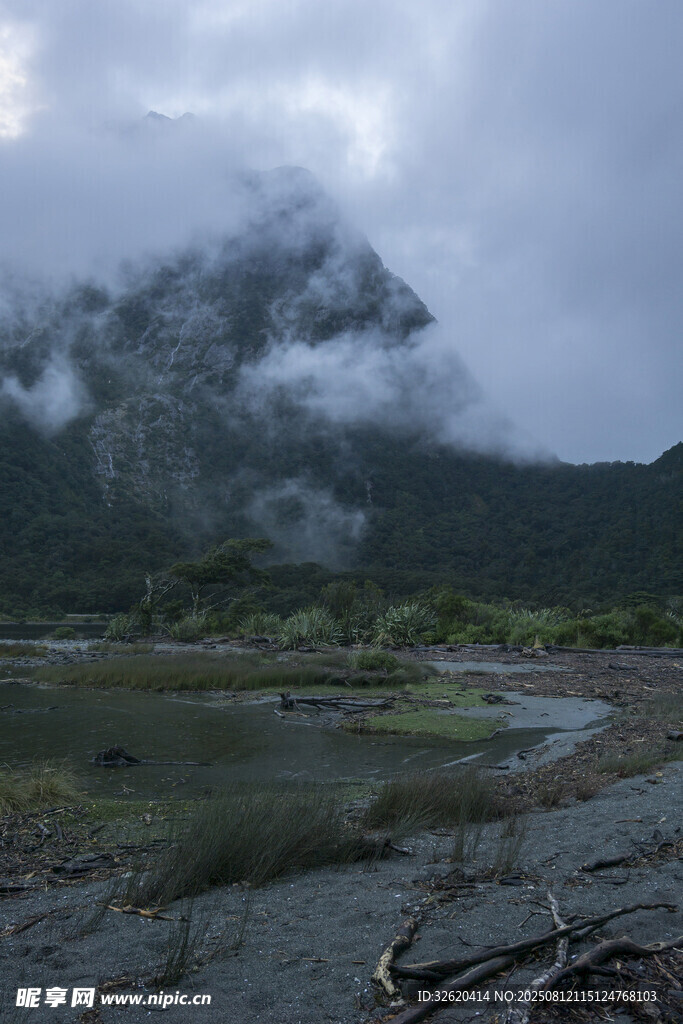 云雾缭绕的山间湿地景观