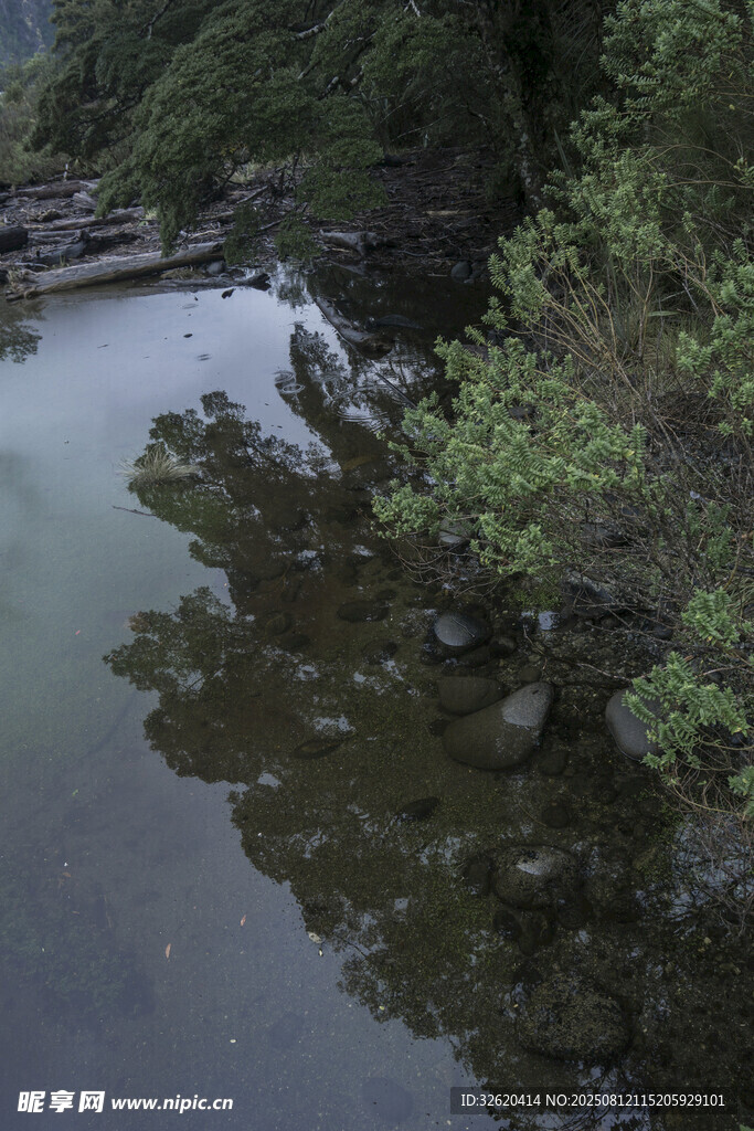山间静谧溪流与葱郁植被