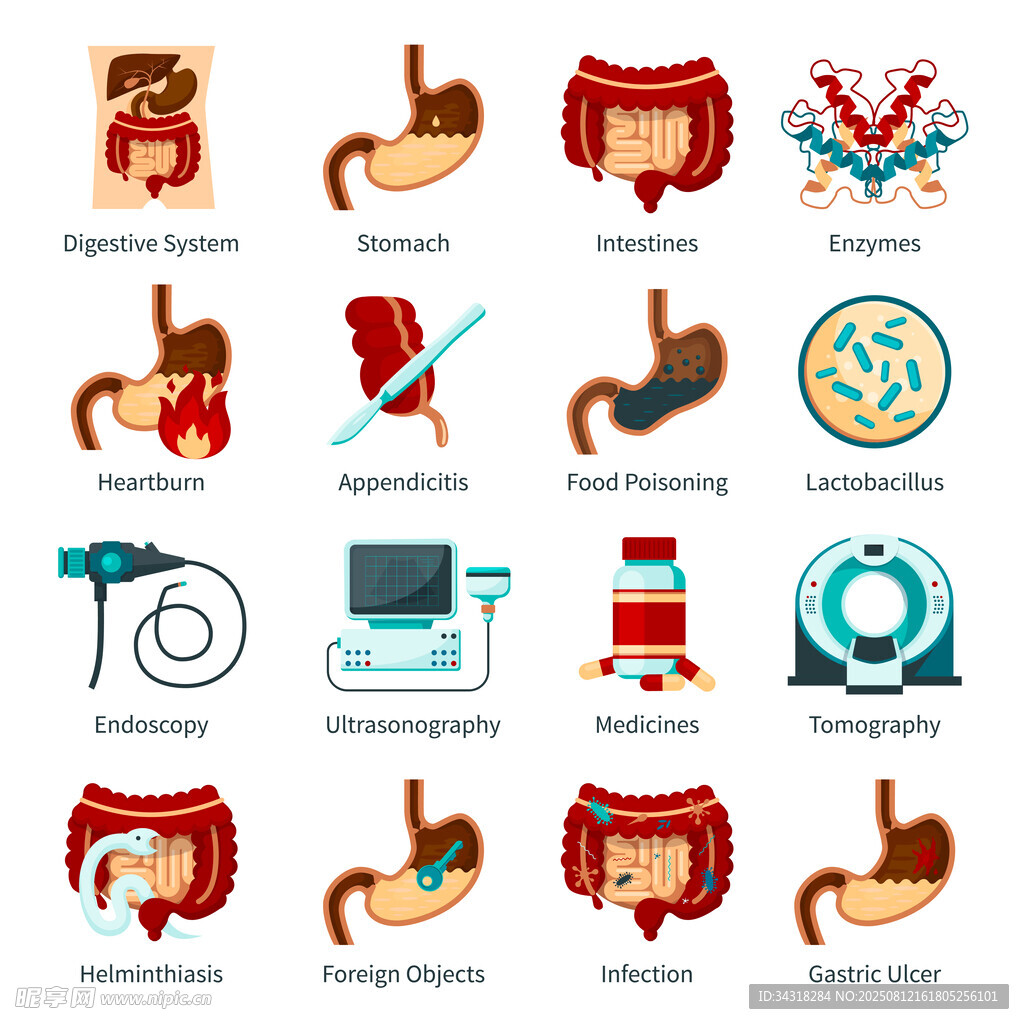 胃部相关医学图示