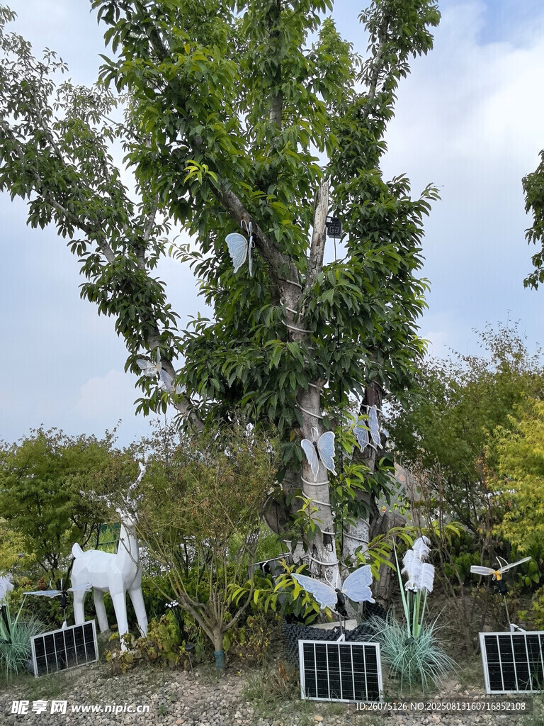 繁茂大树下太阳能板与装饰摆件