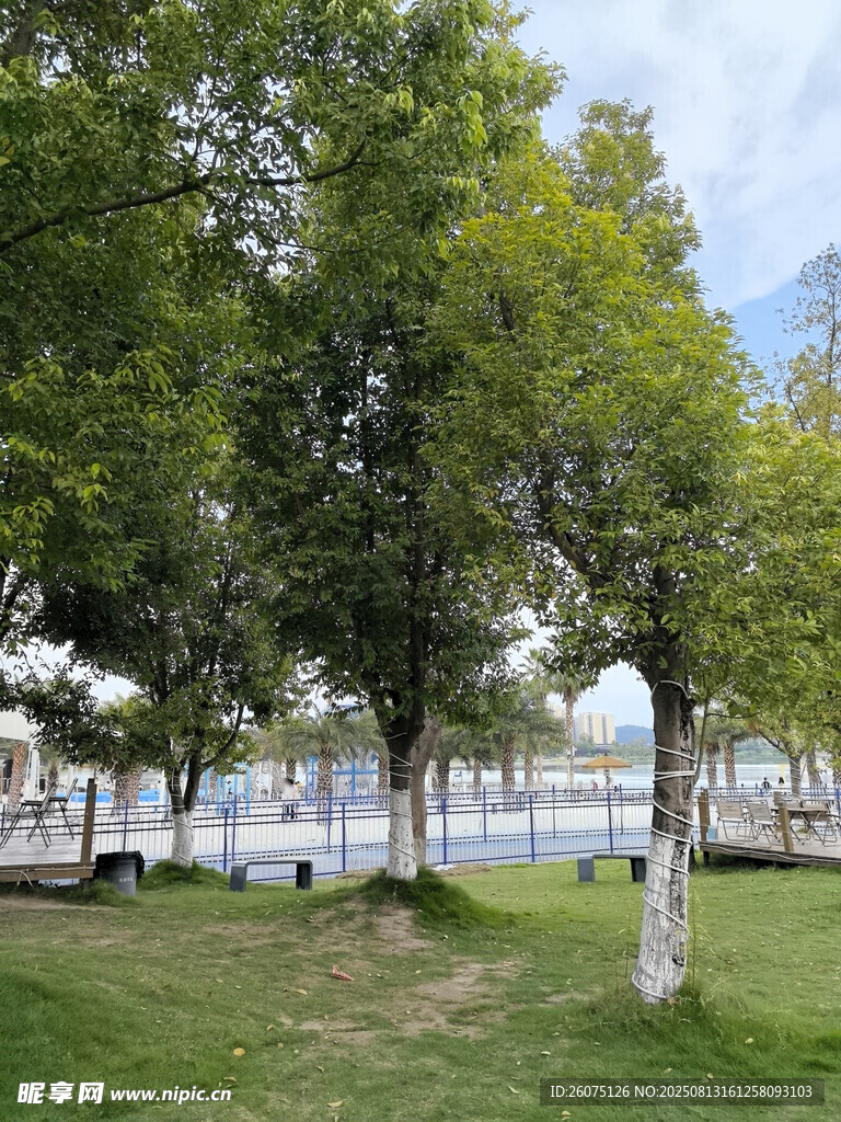 公园绿树成荫的休闲景致