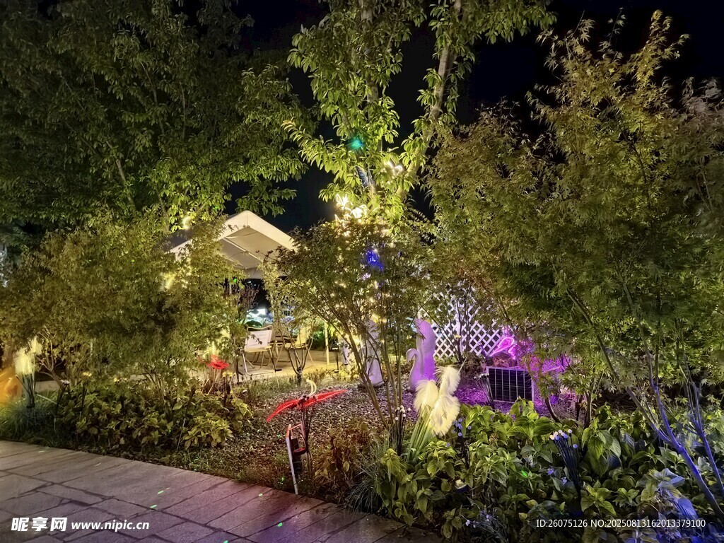 梦幻夜色中的花园景致
