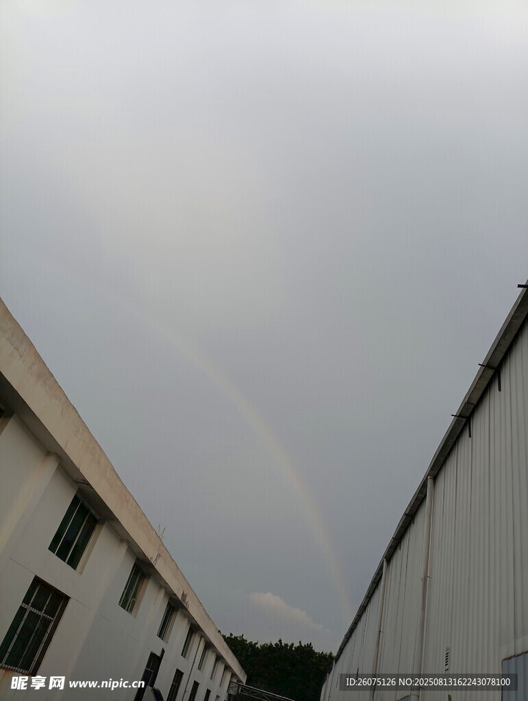 城市天空现一抹彩虹