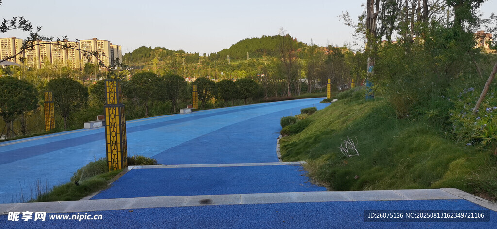 公园里蓝色道路旁的自然风景