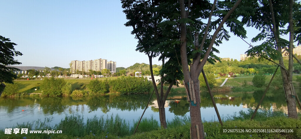 湖畔绿树环绕的自然景致