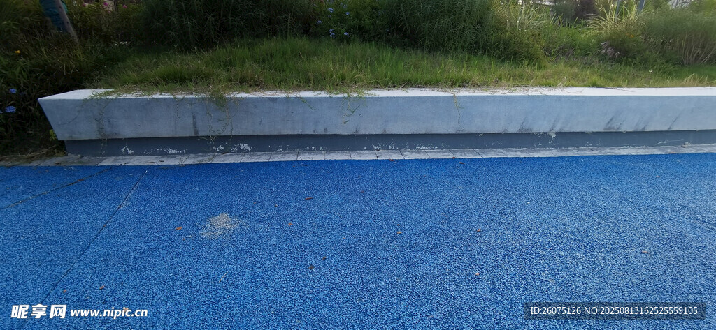 蓝色地面与花坛边缘景观