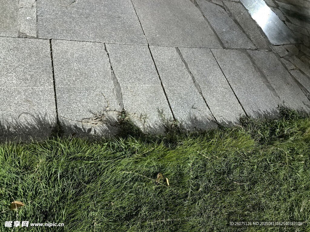 路边的砖石与丛生绿草