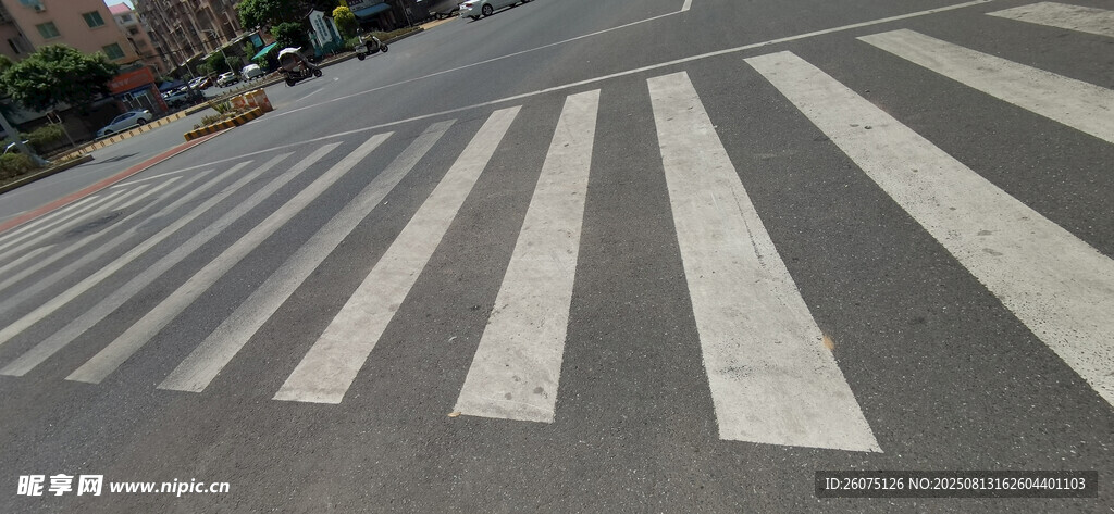 城市道路上的斑马线特写