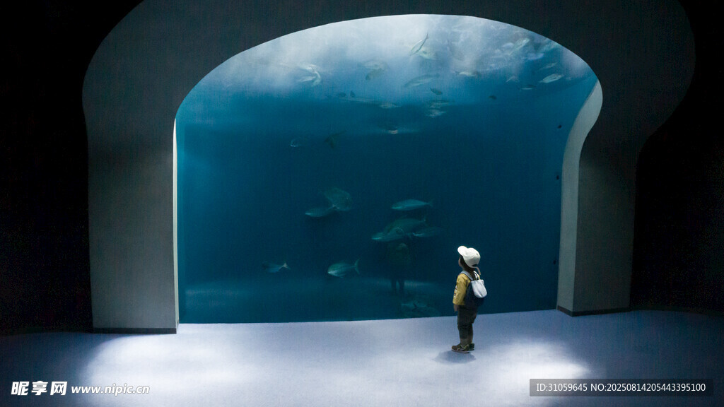 海洋馆里的小孩