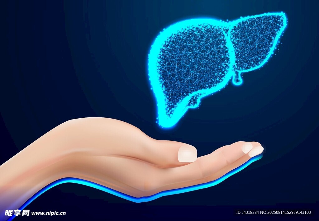 手托虚拟肝脏图像