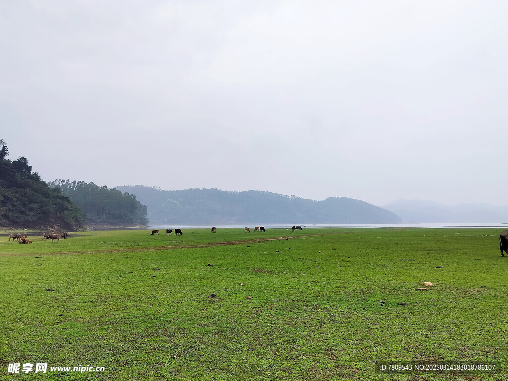 广阔草原与远处山峦景观
