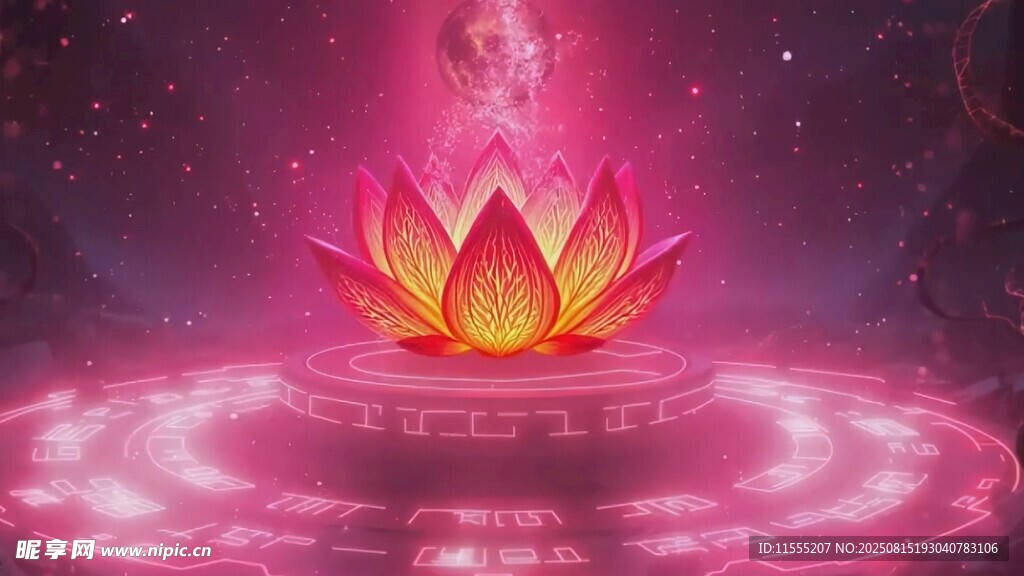 梦幻莲花中的神秘光影