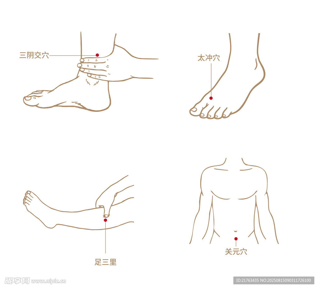 穴位图
