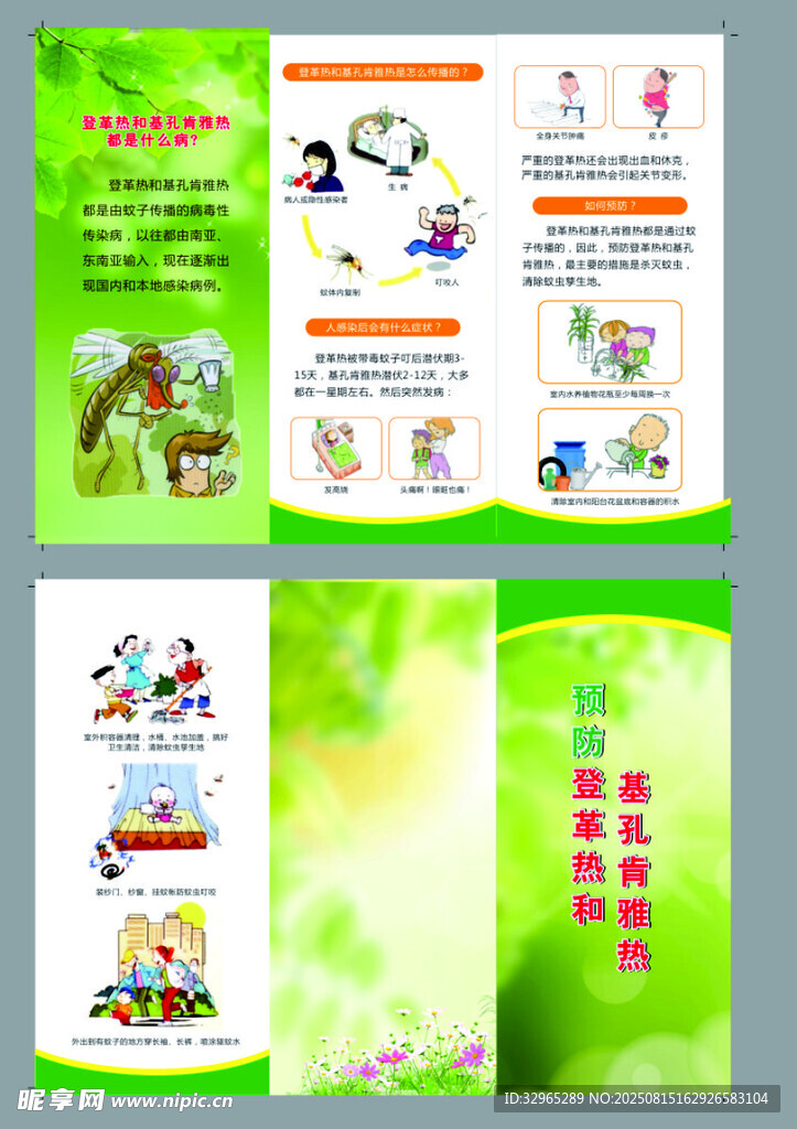 预防登革热和基孔肯雅三折页