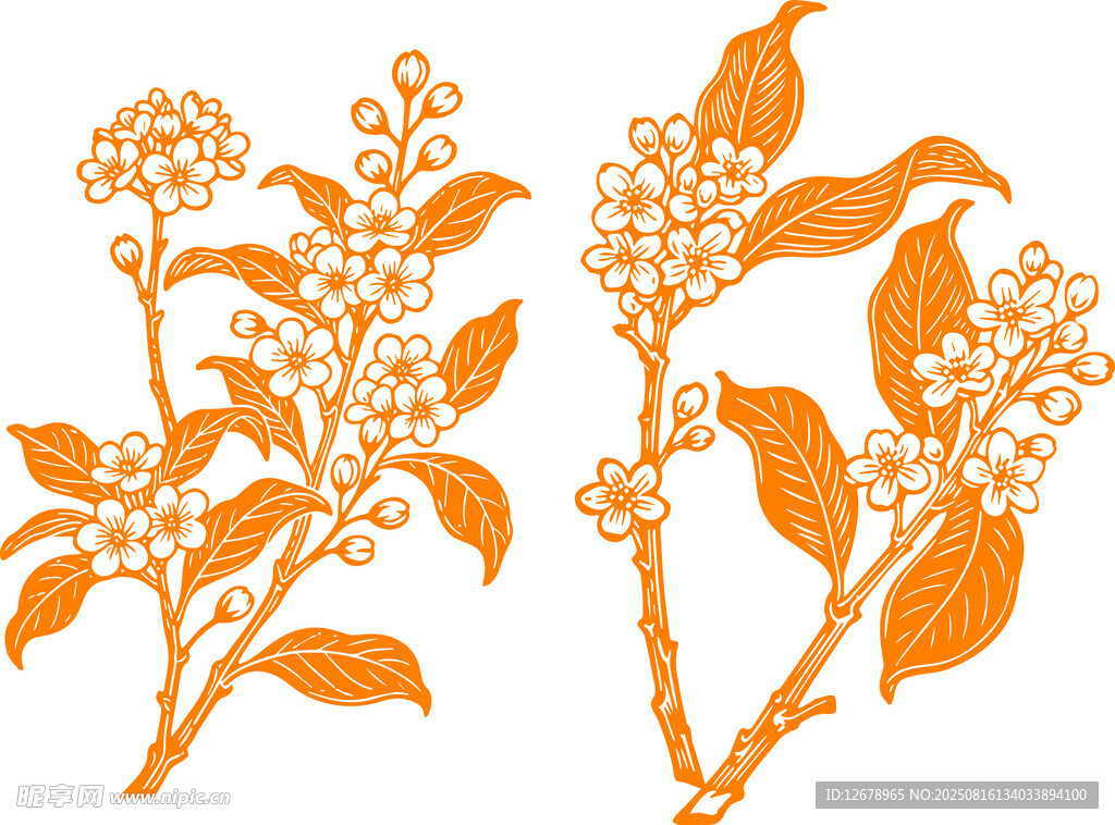 橙色桂花花卉枝叶图案