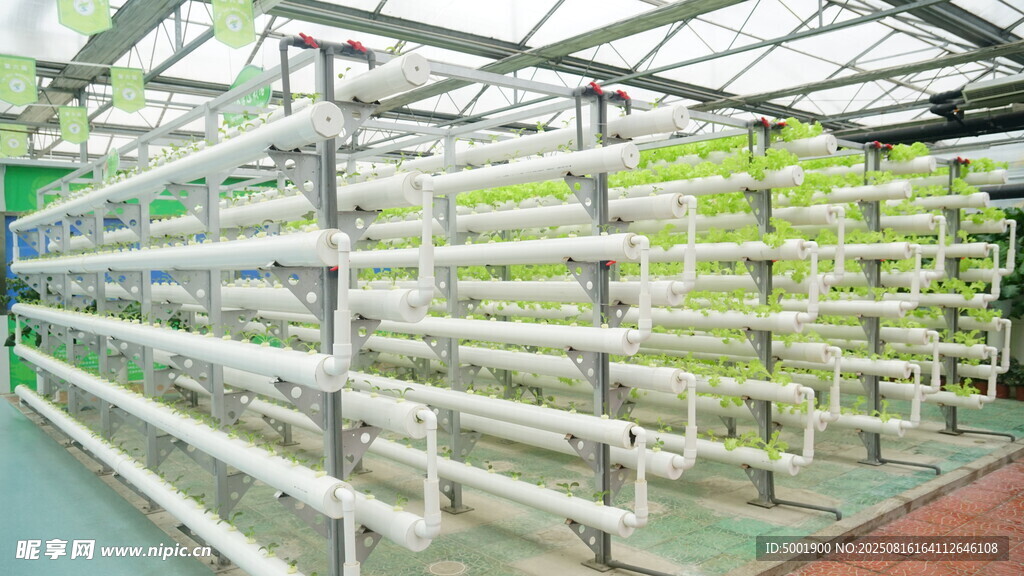 现代化温室无土栽培设施