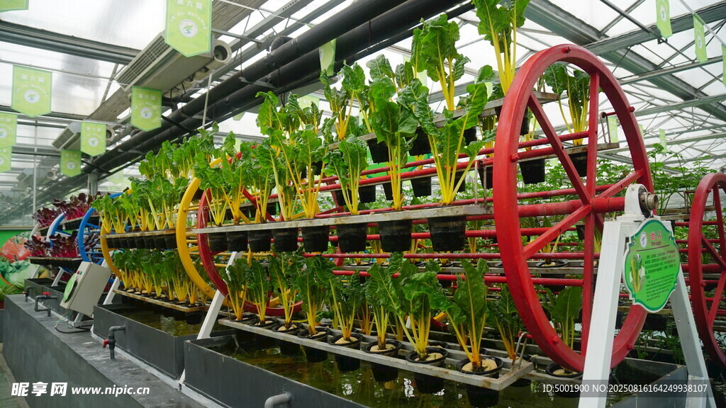 智能立体农业种植装置