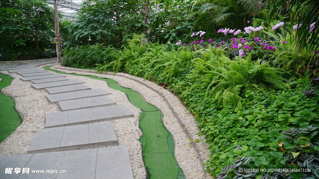 蜿蜒石板小径 绿植环绕