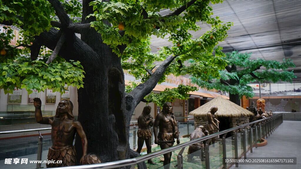 室内古树下的休闲场景