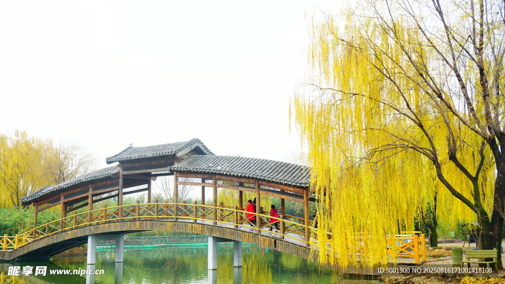 春日湖畔古桥垂柳美景