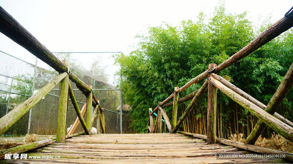 竹制小桥 绿意盎然的景致