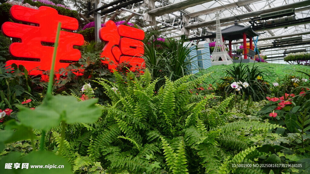 温室中鲜艳的红色装饰物
