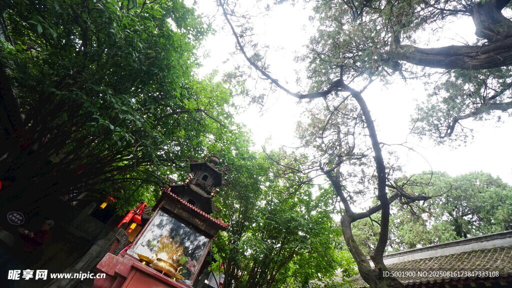 古亭隐于繁茂绿树间