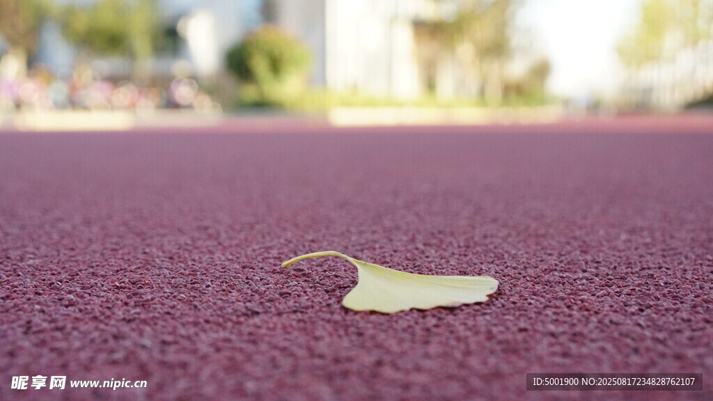 跑道上的一片落叶