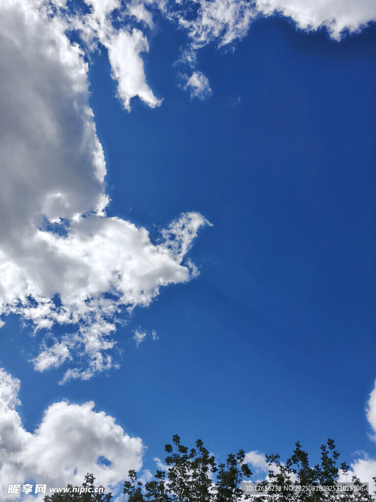蓝天绿树间的白云美景