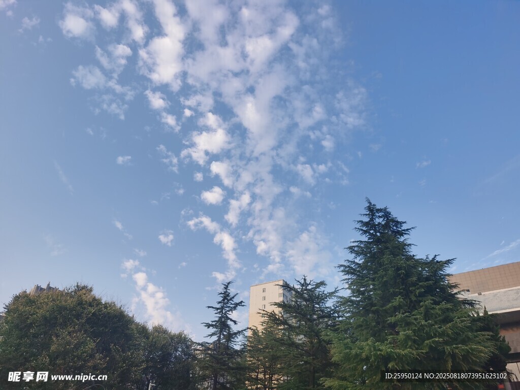 蓝天绿树间的云景