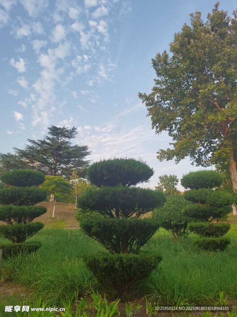 造型别致的园林绿植景观