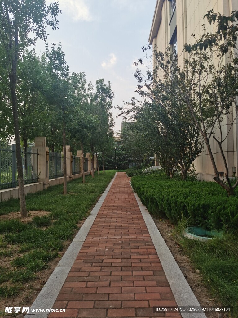 小区内的红砖林荫小道