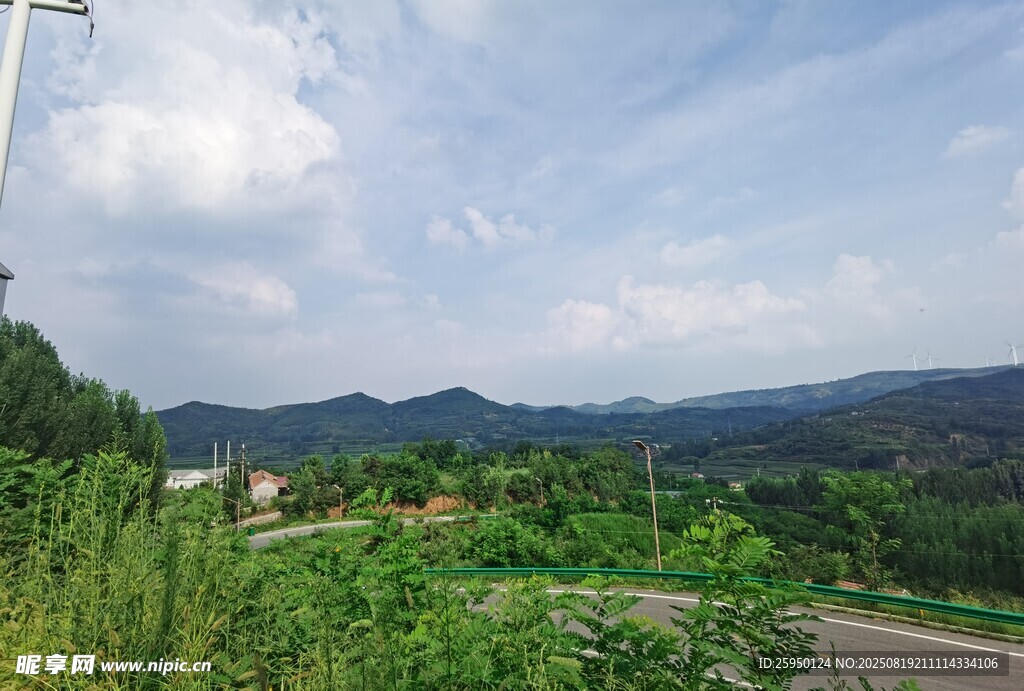 乡村公路旁的绿意风光