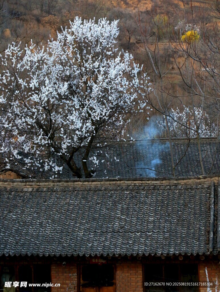 炊烟