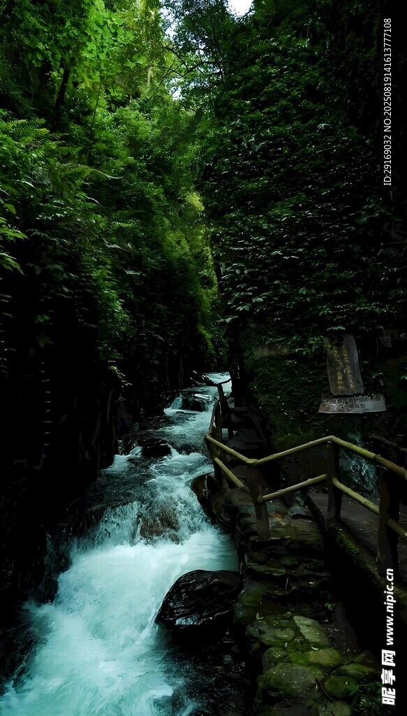 山间溪流栈道 绿意盎然
