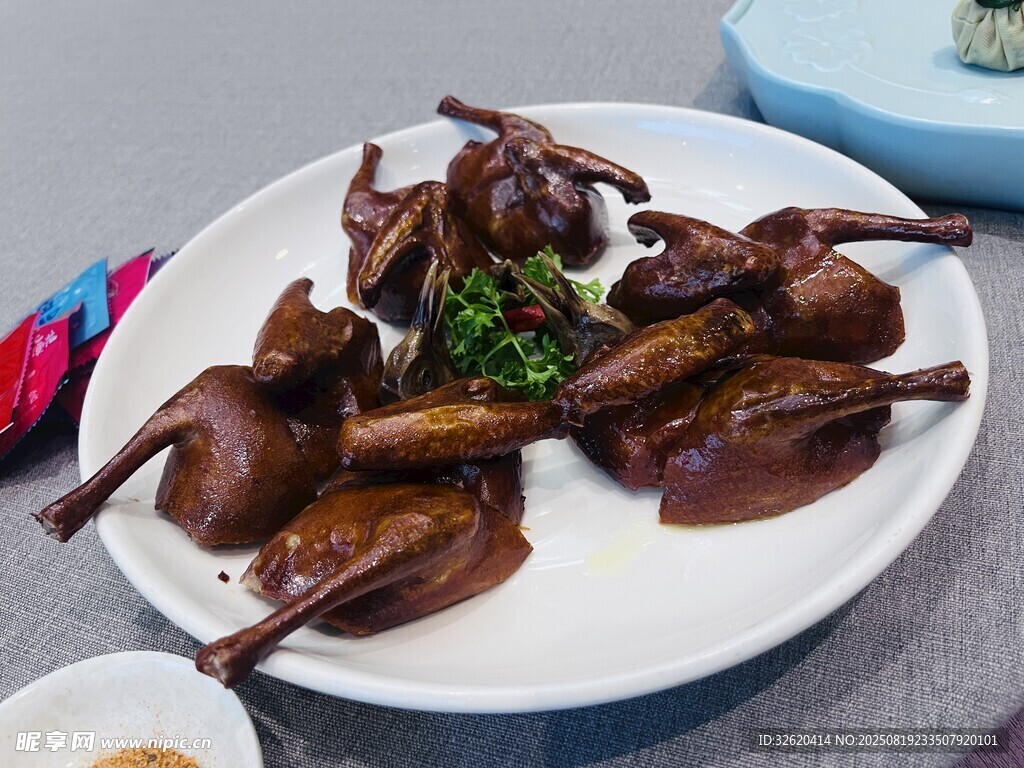 乳鸽
