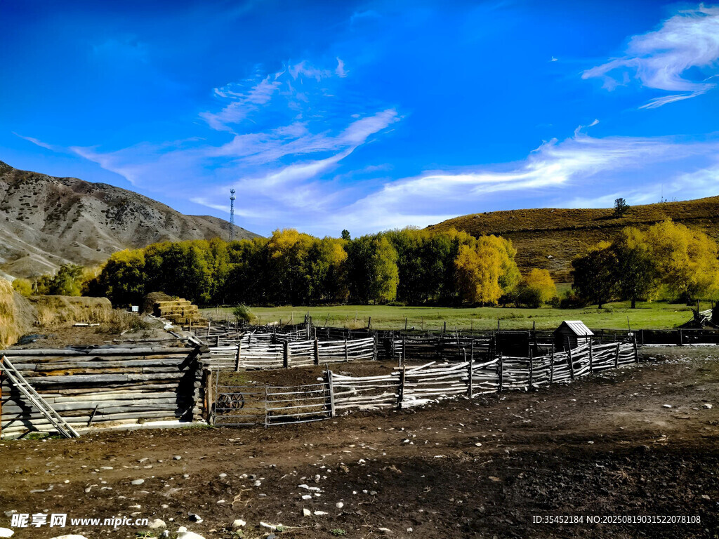 秋日牧场