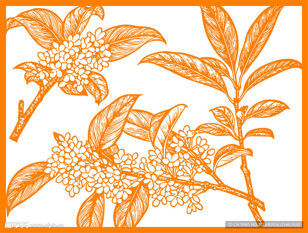 手绘橙色桂花枝叶图案