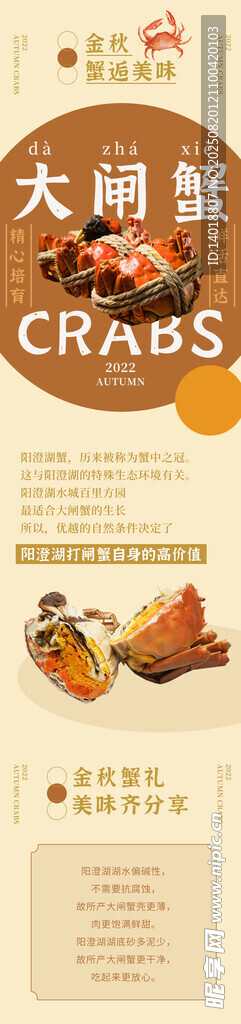 金秋大闸蟹海报