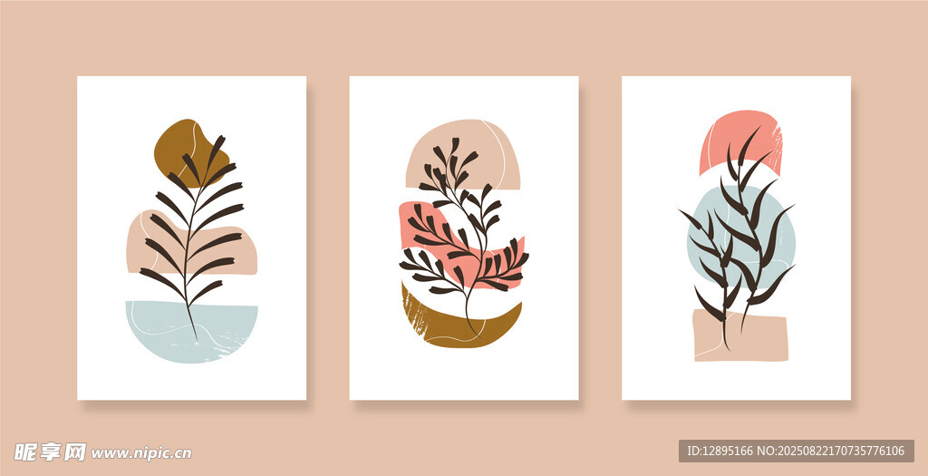 三幅简约植物插画作品