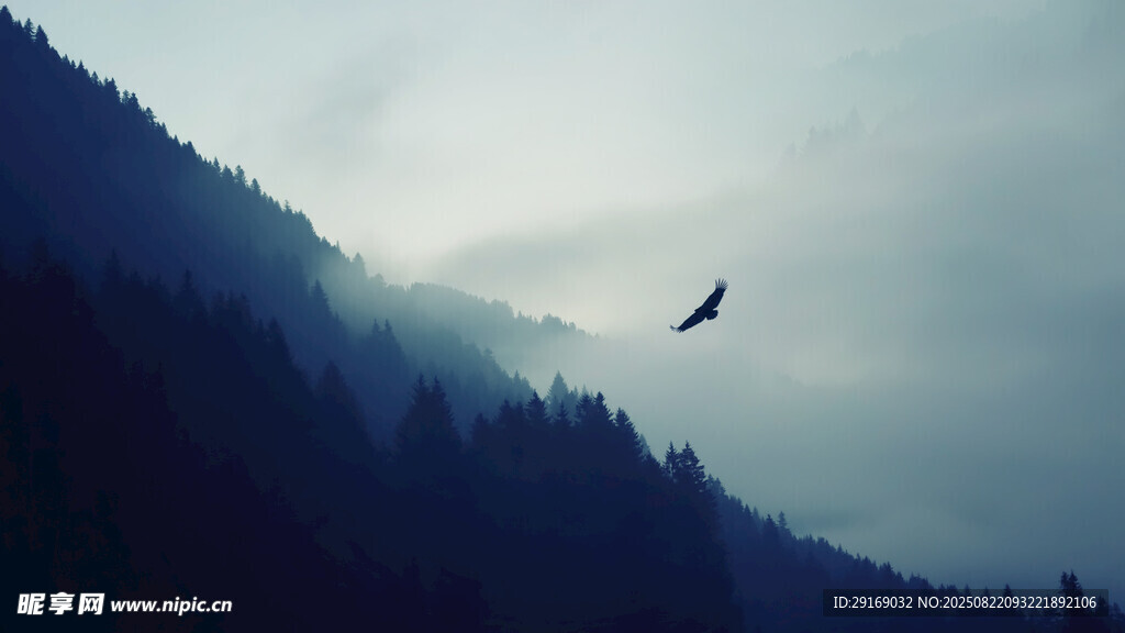 山间飞鸟 云雾缭绕之景